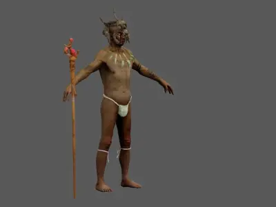 Forest Magic Man Rigged Low-poly 3D model