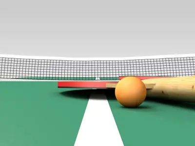 Ping Pong Table 3D model