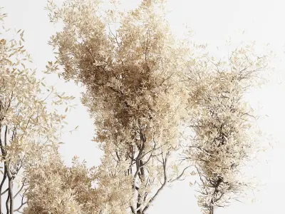 Indoor plant autumn set 304 concrete vase plant tree bush pot Low-poly 3D model