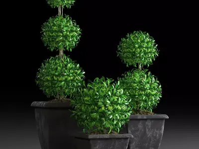 Plants 15 3D model