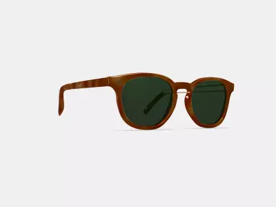 Toddy Sunglasses in Sequoia Tortoise 3D model