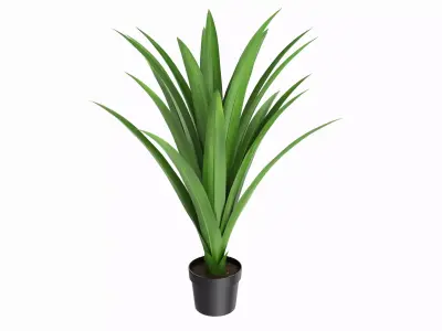 Artificial Yucca Plant in Pot 3D model