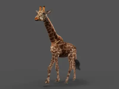 Fur Giraffe Rigged in Blender Low-poly 3D model