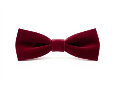 Elegant Burgundy Bowtie model pack Low-poly 3D model