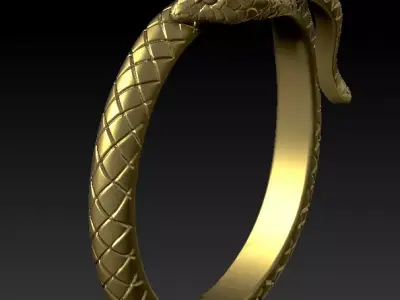 Snake Ring  Earring Jewelry Set 3D Model 3D print model