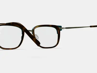 Tiago Eyeglasses in Layered Fiddle Leaf with Riesling 3D model