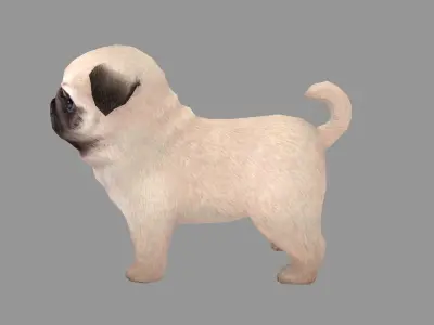 Cartoon pet puppy - Paco - baby dog Low-poly 3D model