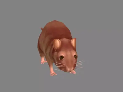 Cartoon mouse Low-poly 3D model 3