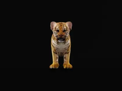 Tiger Cub Mammal Low-poly 3D model