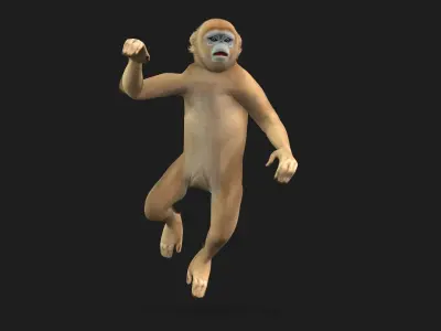 Monkey-A2 3D model