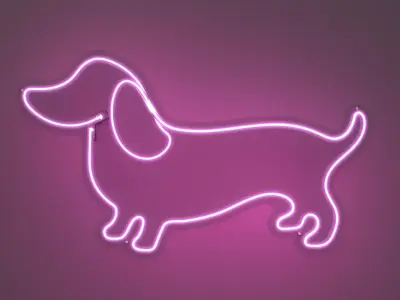Dachshund Dog 2 - Neon Sign 3D model