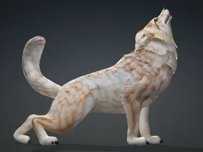 Wolf-A4 3D model