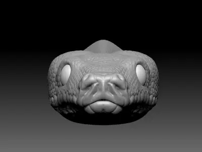 Python Zbrush Model 3D model