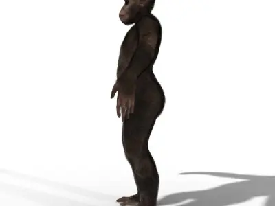 Low Poly Monkey Ape Chimp Chimpanzee Primate Early Man Low-poly 3D model