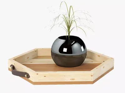 Reclaimed Wooden Hexagon Tray with Interior Planter Centerpiece 3D model