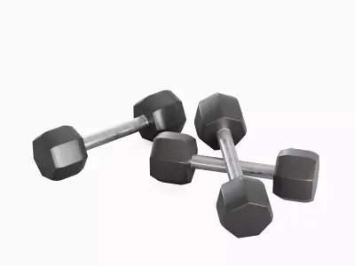 Steel Dumbbell 01 Low-poly 3D model