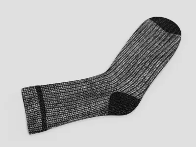 Winter Sock - Realistic and Universal Knit Footwear 3D model