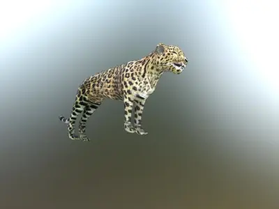 LEOPARD LOWPOLY jaguar Low-poly 3D model