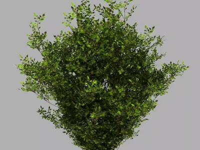 Decoration - Flowers 92 3D model