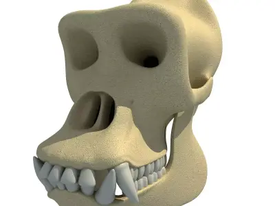 Realistic Gorilla Skull  3D model