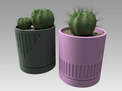 Flowerpot with cactus 3D model