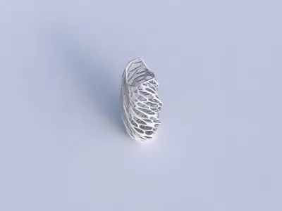 Vase twisted double arc hexagon with twisted organic lattice 3D print model