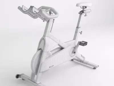 Home Spinner 3D model