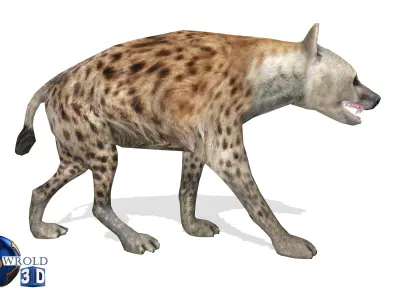 Hyena Rigged Animated Lowpoly 3D Model Low-poly 3D model