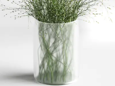 Grass in Vases 2 3D model