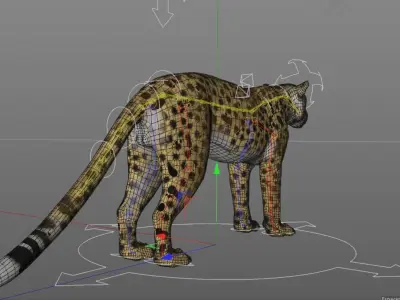 Cheetah 3D model High Detailed Rigged and Textures 3D model