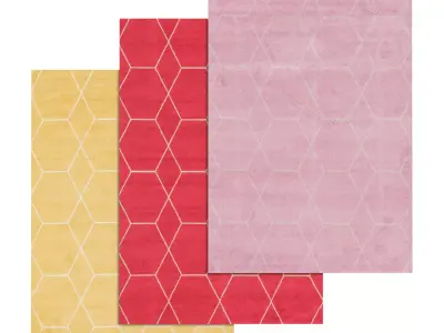 Rug Set 1832 3D model