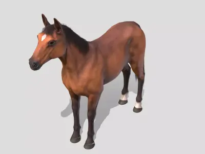 Horse realistic Low-poly 3D model