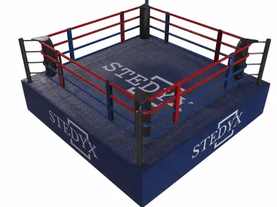 boxing ring 3D model order