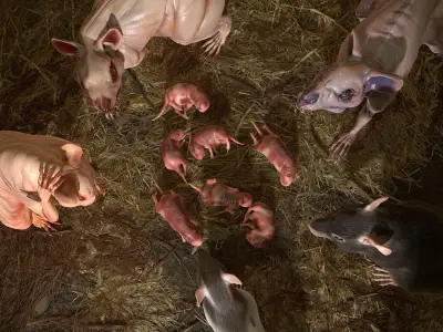 Rats Complete Pack Low-poly 3D model