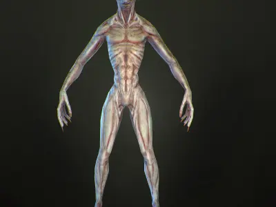 Character Reptile Animation Rig  Low-poly 3D model