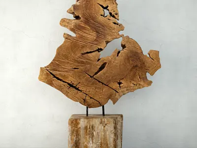 Teak Decoration 3D model