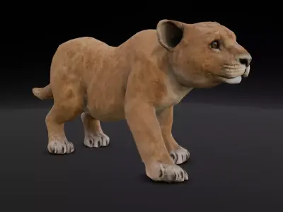 Lion Cub Animated 3D Model  Low-poly 3D model
