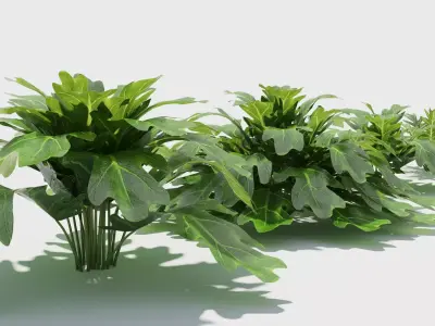 Philodendron plant in pot 3D model