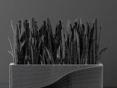 indoor plant 04 3D model