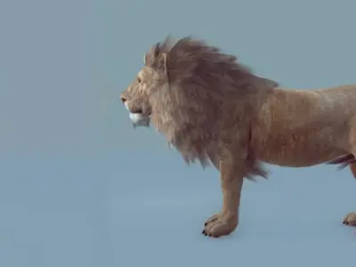 Lion realtime model Low-poly 3D model
