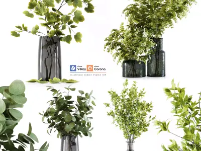 Collection Indoor Plants 029 3D model