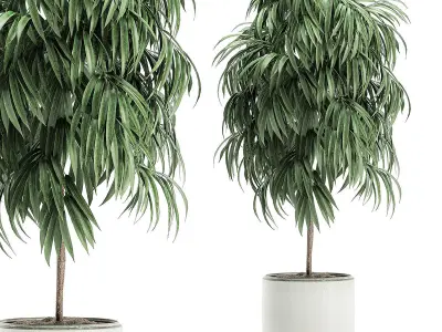 Collection of plants 32 pieces 3D model