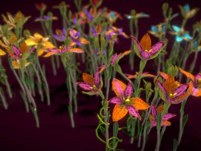 Flower Thelymitra Pulcherrima Low-poly 3D model
