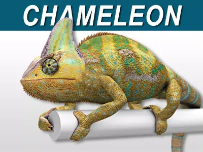Chameleon - Color 3D model