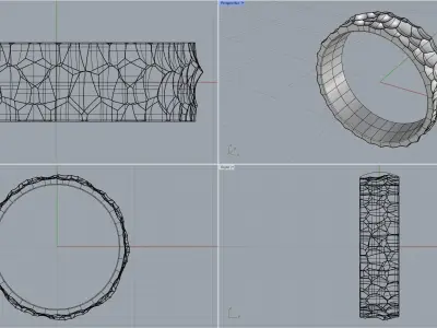 SANJ Ring 01 Free 3D print model