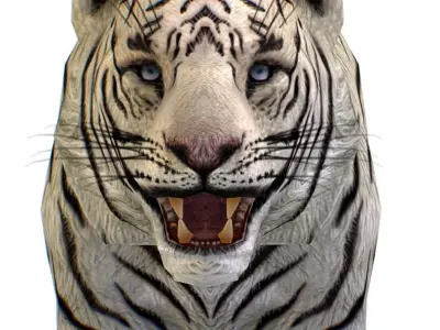 LowPoly Model A Realistic White Tiger Low-poly 3D model