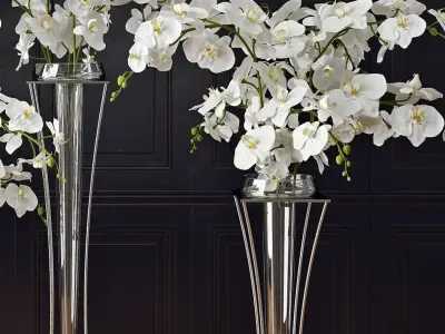 Orchid three vases with orchids 3D model