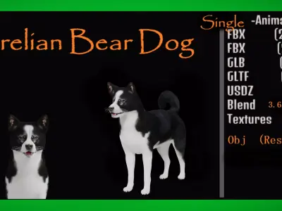 Karelian Bear Dog Low-poly 3D model