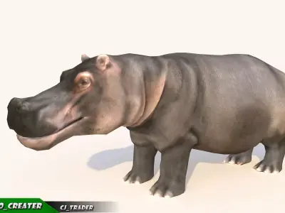 Lowpoly Hippopotamus Animated 3D model Low-poly 3D model