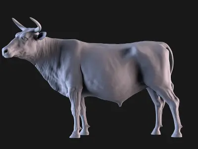 Cow and Bull 3D print model
